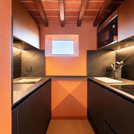 Sdrucciolo Dei Pitti Fourth Floor Apartment Florence Exterior photo